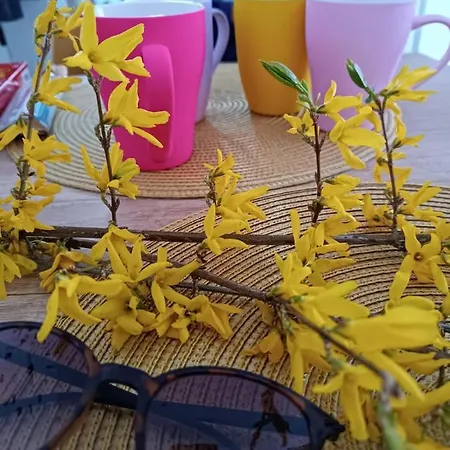 Dream * Vrnjačka Banja