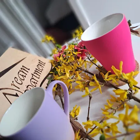 Dream Vrnjačka Banja