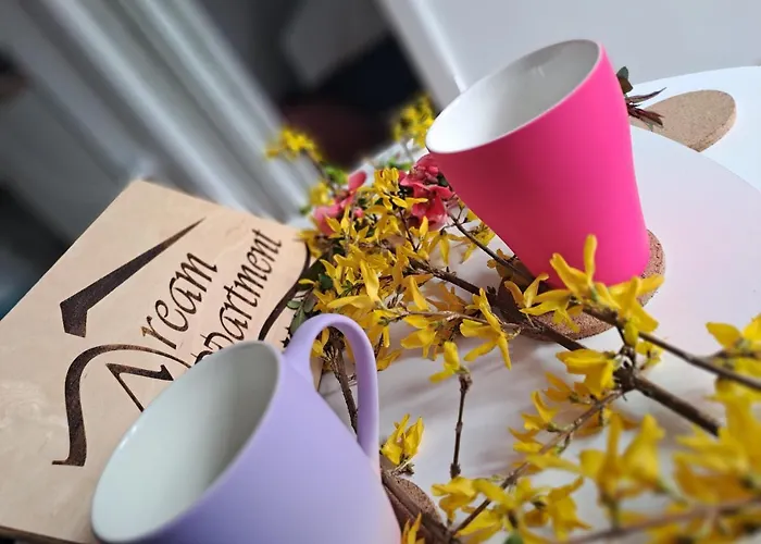 Dream Vrnjačka Banja